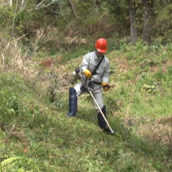 草刈り(刈払機作業)