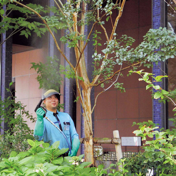 お庭をキレイにサービス