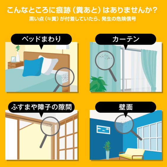 トコジラミ(南京虫)駆除