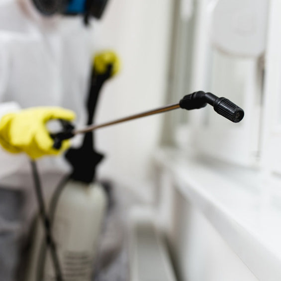 トコジラミ(南京虫)駆除