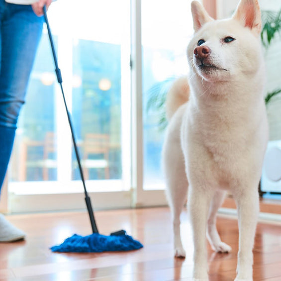 ペット用フロアモップ