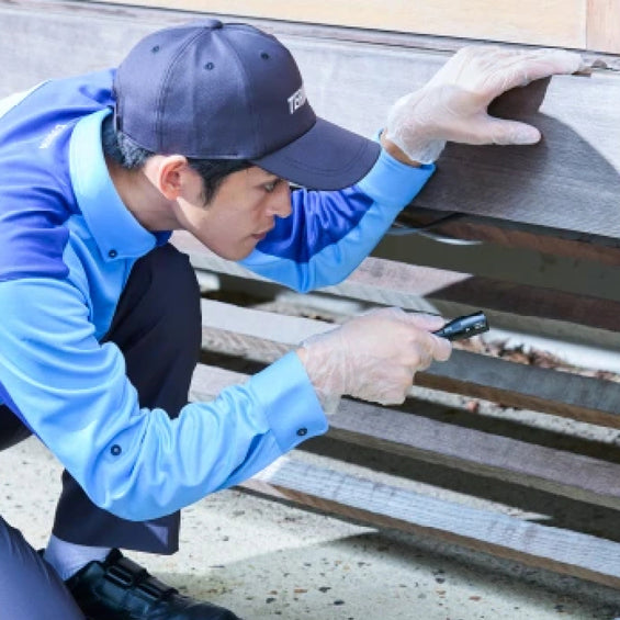 シロアリ駆除