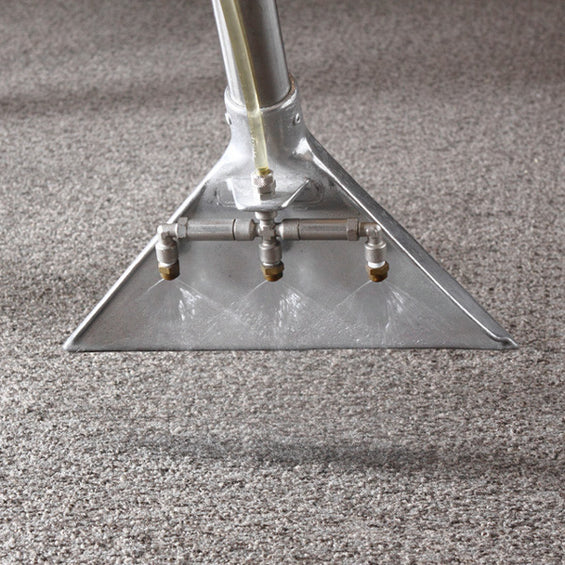 カーペット・絨毯クリーニング（洗剤水洗い＆すすぎ）