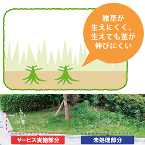 雑草が目立たないサービス