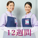 12週間に1回：キッチン（または浴室）＋洗面所＋トイレ