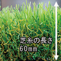プレミアムタイプ+舗装材（5㎡以内）