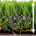 レギュラータイプ+舗装材（5㎡以内）