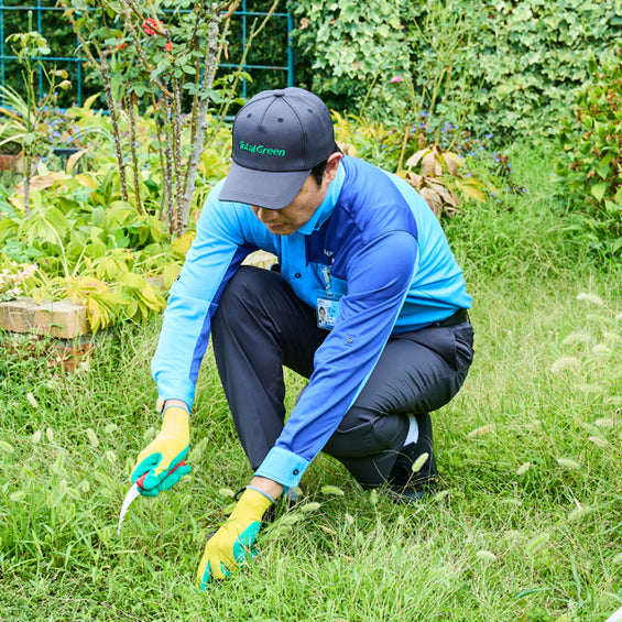 お庭をキレイにサービス