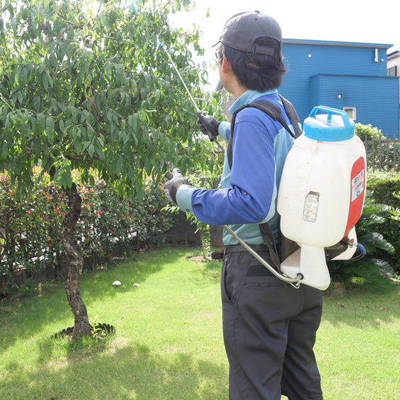 樹木の年間お手入れサービス